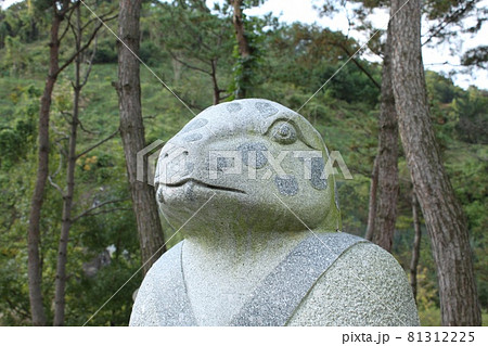 韓国大田の公園風景 韓国大田の公園風景 81312225