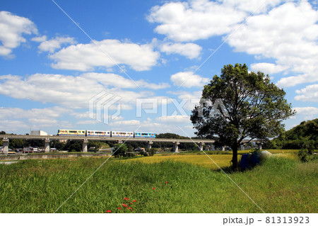青空と田園と大阪モノレール 青空と田園と大阪モノレール 81313923