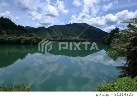 魚梁瀬ダム湖 湖面 夏 (高知県 北川村 馬路村) 魚梁瀬ダム湖 湖面 夏 (高知県 北川村 馬路村) 81314325