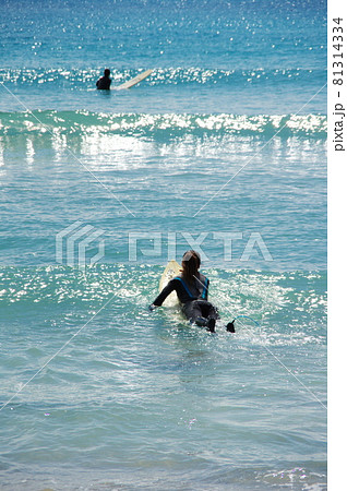 青い海でパドリングする女性のサーファー 81314334