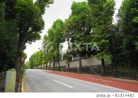 8月　港区551鮫河橋坂と迎賓館･東京都道414号四谷角筈線 81314482