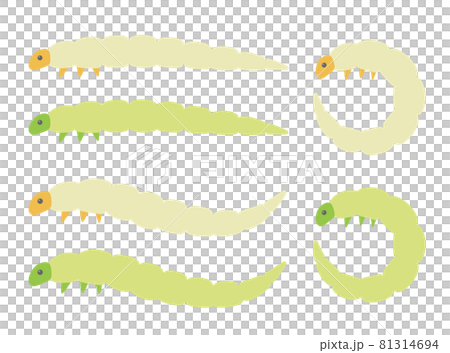 食用ワームのイラスト 食用ワームのイラスト 81314694