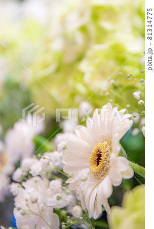 葬儀場のフラワー祭壇 81314775