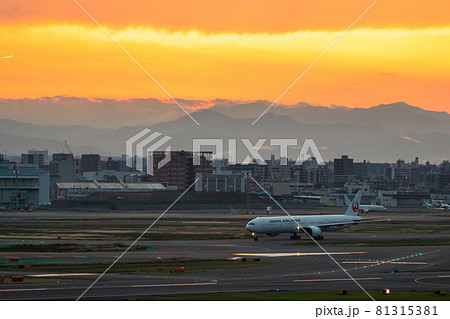 羽田空港の風景・タキシングする旅客機 羽田空港の風景・タキシングする旅客機 81315381