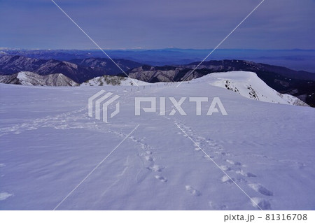 冬の伊吹山頂雪原の足跡 冬の伊吹山頂雪原の足跡 81316708