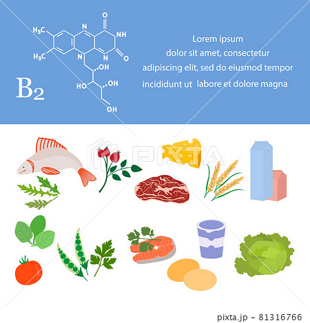 Healthy Food Proper Nutrition Vitamin B2 Organic Healthy Food Proper Nutrition Vitamin B2 Organic 81316766
