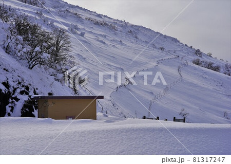 スカイテラス伊吹山からの積雪した山頂遊歩道 81317247