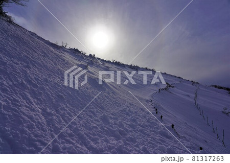 冬のスカイテラス伊吹山からの 81317263