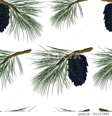 Cedar branch with a cone vector stock illustration. New Year's seamless pattern. For wrapping paper. Ideal for wallpaper, surface textures, textiles Cedar branch with a cone vector stock illustration. New Year's seamless pattern. For wrapping paper. Ideal for wallpaper, surface textures, textiles 81317866