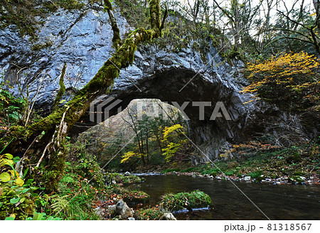 帝釈峡(国定公園、名勝、中国山地、広島県庄原市東城町〜神石高原町) 帝釈峡(国定公園、名勝、中国山地、広島県庄原市東城町〜神石高原町) 81318567