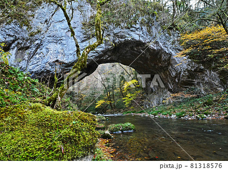 帝釈峡（国定公園、名勝、中国山地、広島県庄原市東城町〜神石高原町） 81318576