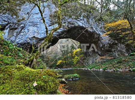 帝釈峡（国定公園、名勝、中国山地、広島県庄原市東城町〜神石高原町） 81318580
