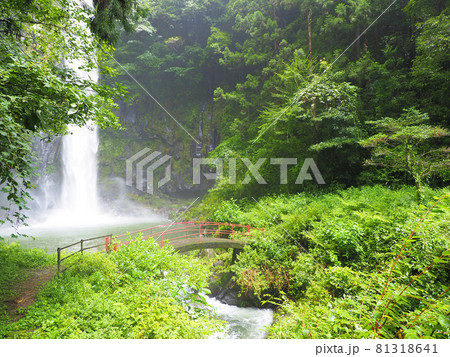 夏の八戸観音滝　宮崎県西臼杵郡日之影町七折 81318641