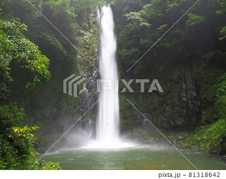 夏の八戸観音滝　宮崎県西臼杵郡日之影町七折 81318642