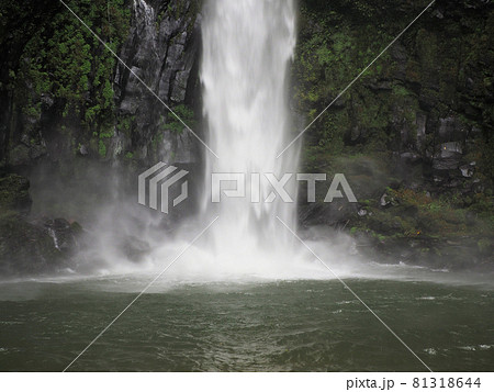 夏の八戸観音滝　宮崎県西臼杵郡日之影町七折 81318644