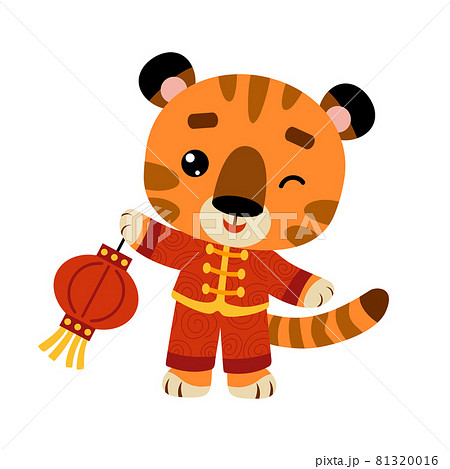 Cartoon vector illustration for children. Tiger and chinese lantern Cartoon vector illustration for children. Tiger and chinese lantern 81320016