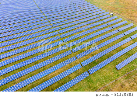 Aerial view of solar power plant on green field. Electric farm with panels for producing clean ecologic energy. 81320883