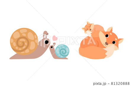 Little Baby Animal and Their Mom Cuddling and Loving Each Other Vector Set 81320888