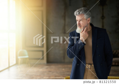 Stylish handsome grey haired middle aged man looking away, touching his beard while posing indoors 81321550