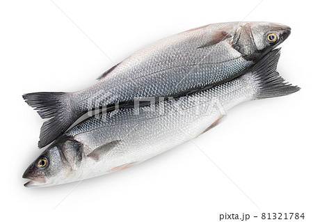 Sea bass fich isolated on white background with clipping path. Top view. Flat lay 81321784