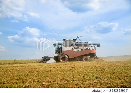 old tracktor plows the field. harvester harvests wheat from a sown agricultural field 81321967