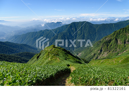 谷川連峰縦走路から望む中ゴー尾根と山並み 谷川連峰縦走路から望む中ゴー尾根と山並み 81322161