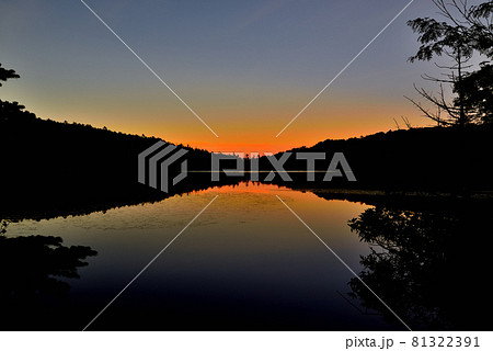 日本一高地の湖、北八ヶ岳　原生林の中にある白駒池 81322391