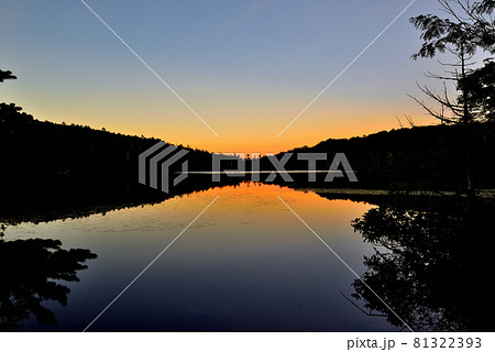 日本一高地の湖、北八ヶ岳　原生林の中にある白駒池 81322393