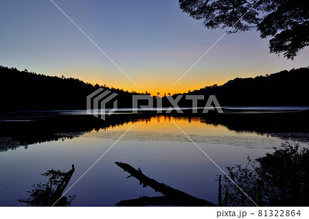 日本一高地の湖、北八ヶ岳　原生林の中にある白駒池の綺麗な朝焼け 81322864