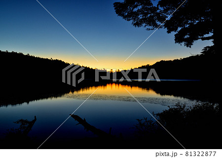 日本一高地の湖、北八ヶ岳　原生林の中にある白駒池の綺麗な朝焼け 81322877