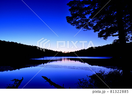 日本一高地の湖、北八ヶ岳　原生林の中にある白駒池の綺麗な朝焼け 81322885