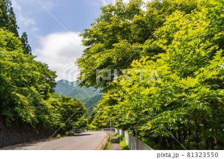 四万温泉　国道353バイパス 81323550