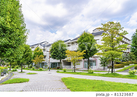 自然に恵まれた多摩ニュータウンの住宅街 自然に恵まれた多摩ニュータウンの住宅街 81323687