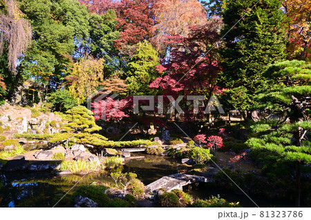 紅葉した恵林寺の庭園 紅葉した恵林寺の庭園 81323786