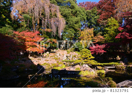紅葉した恵林寺の庭園 紅葉した恵林寺の庭園 81323791
