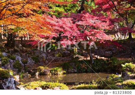 紅葉した恵林寺の庭園 紅葉した恵林寺の庭園 81323800