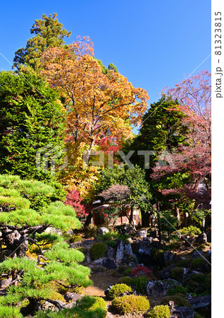 紅葉した恵林寺の庭園 紅葉した恵林寺の庭園 81323815