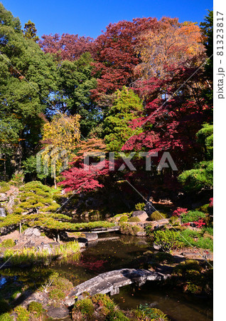 紅葉した恵林寺の庭園 紅葉した恵林寺の庭園 81323817