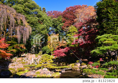 紅葉した恵林寺の庭園 81323820