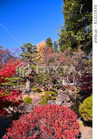 紅葉した恵林寺の庭園 紅葉した恵林寺の庭園 81323830