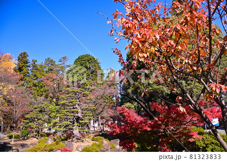 紅葉した恵林寺の庭園 81323833
