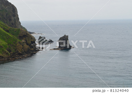 礼文島の観光スポット桃台猫台の猫岩 81324040