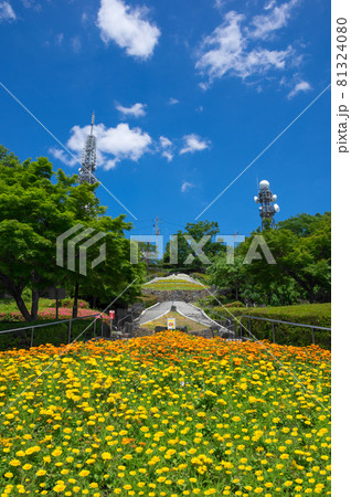 眉山公園　徳島県徳島市　イラスト 81324080