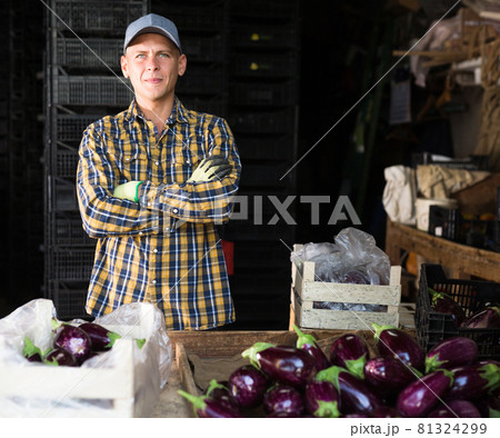 Man working in vegetable warehouse Man working in vegetable warehouse 81324299