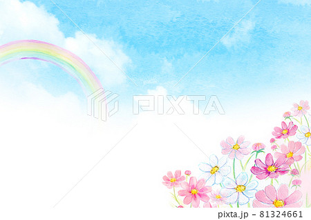虹とコスモス畑 水彩イラストのイラスト素材