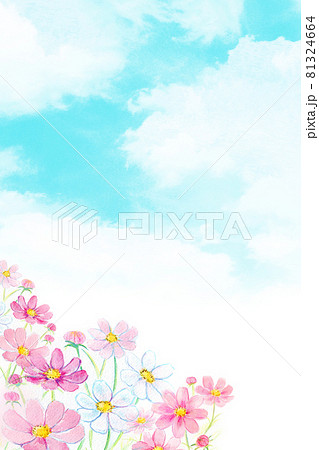 虹とコスモス畑 水彩イラストのイラスト素材