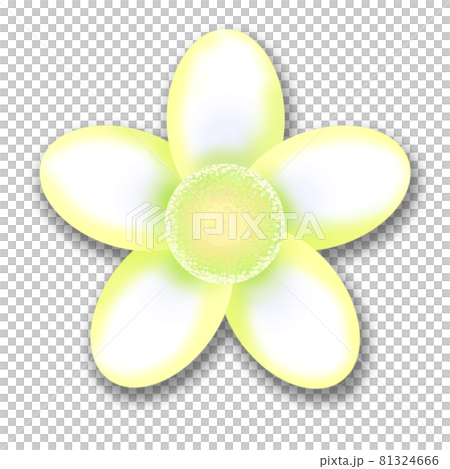 アイコンにも使えるシンプルな白い花のイラスト アイコンにも使えるシンプルな白い花のイラスト 81324666