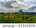 81324938