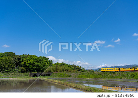 三重県いなべ市のめがね橋を通り過ぎる三岐鉄道北勢線の黄色い軽便鉄道 81324960