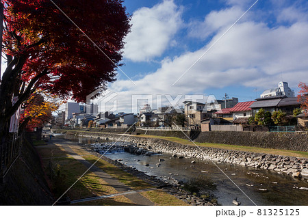 宮川(高山市-岐阜県) 81325125